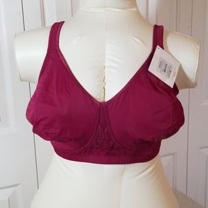 Burgandy Avenue bra